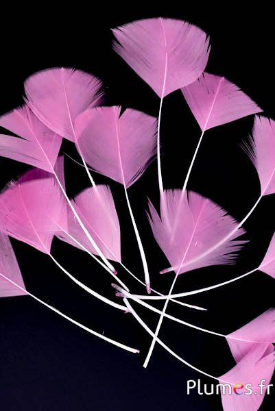 Blütenblätter aus Federn - 6-8 cm x 3-4 cm - altrosa